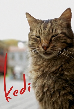 Poster for Kedi