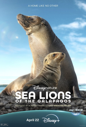 Poster for Sea Lions of the Galapagos
